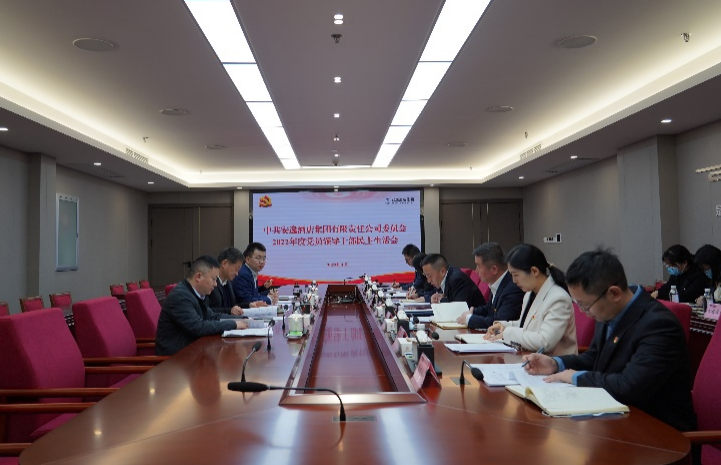 兴发游戏xf集团党委书记、董事长任丁出席安逸酒店集团2022年度党员辅导干部民主生涯会