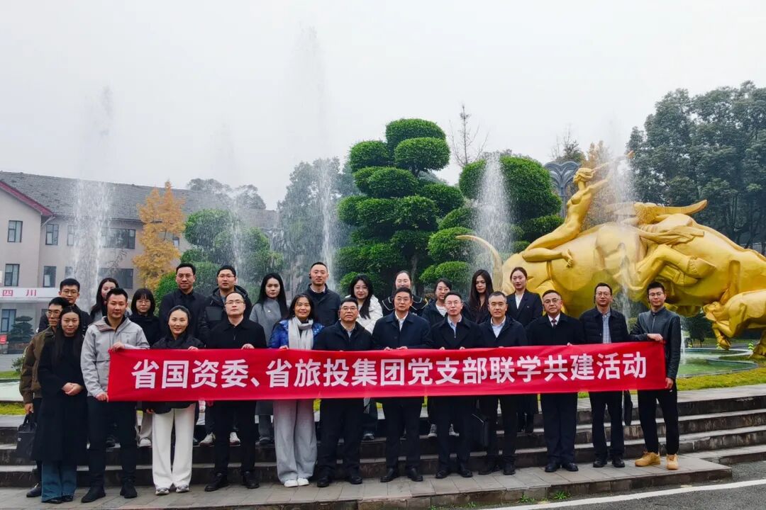 兴发游戏xf委与省兴发游戏xf集团发展党支部联学共建活动